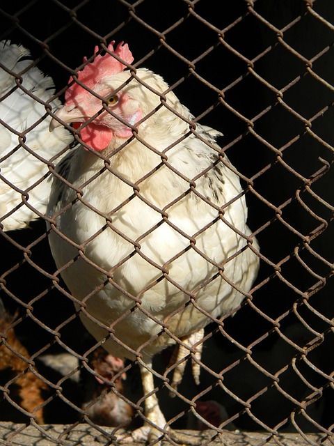 步交流与融 步交流与融