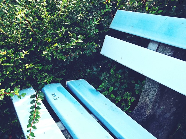 赢得了历史 赢得了历史