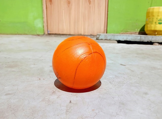 轮的技术革 轮的技术革