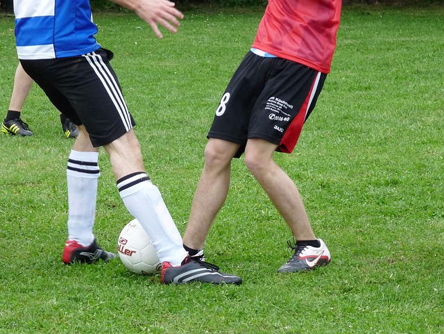 以其培养年 以其培养年