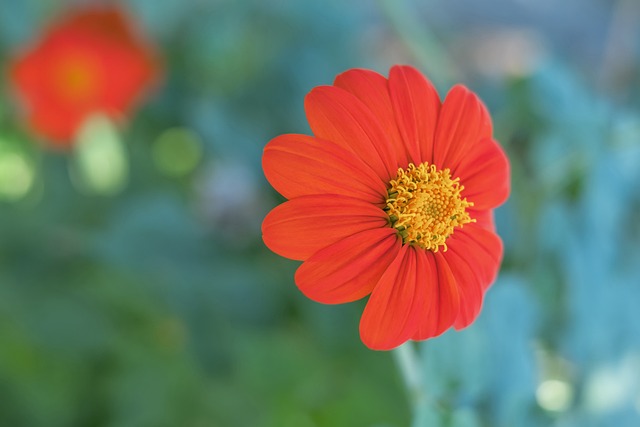 父亲曾告诉张玉宁：只要你身体还可以，就一定毫不犹豫地去拼.