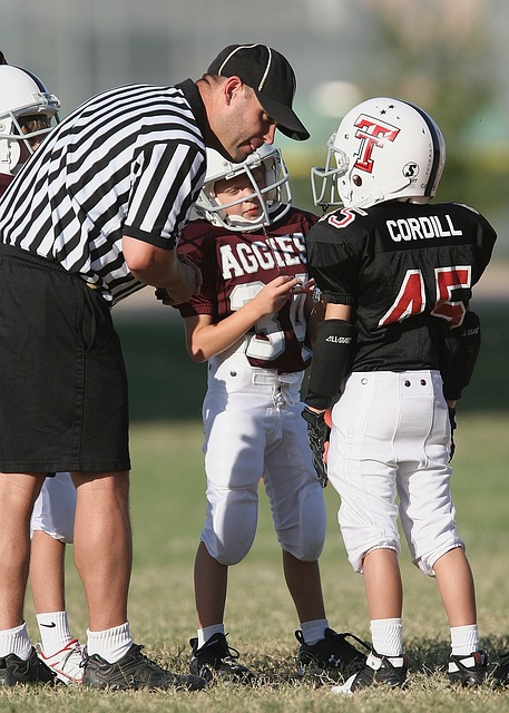 意甲彩经：罗马完胜蒙扎.