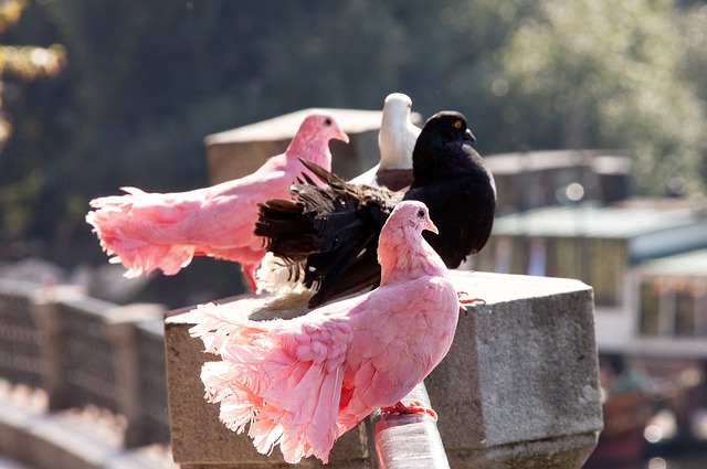 而终在第三 而终在第三