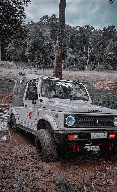 他为伊朗队 他为伊朗队