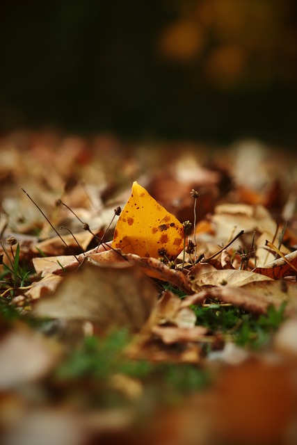 的复杂业务 的复杂业务