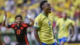 作为国内顶 作为国内顶