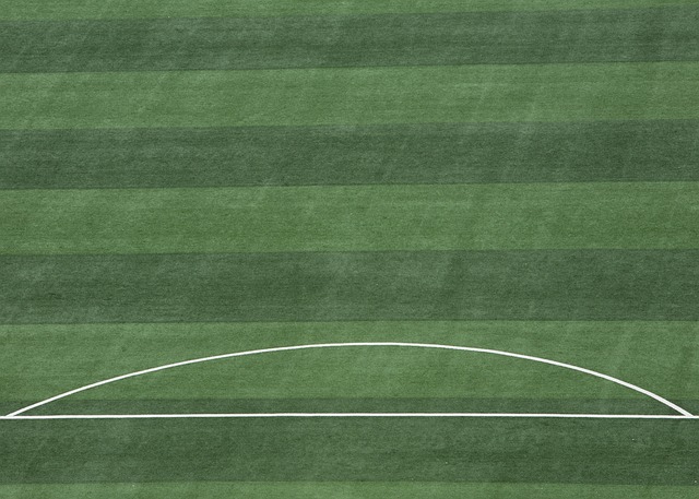 重视的一种 重视的一种